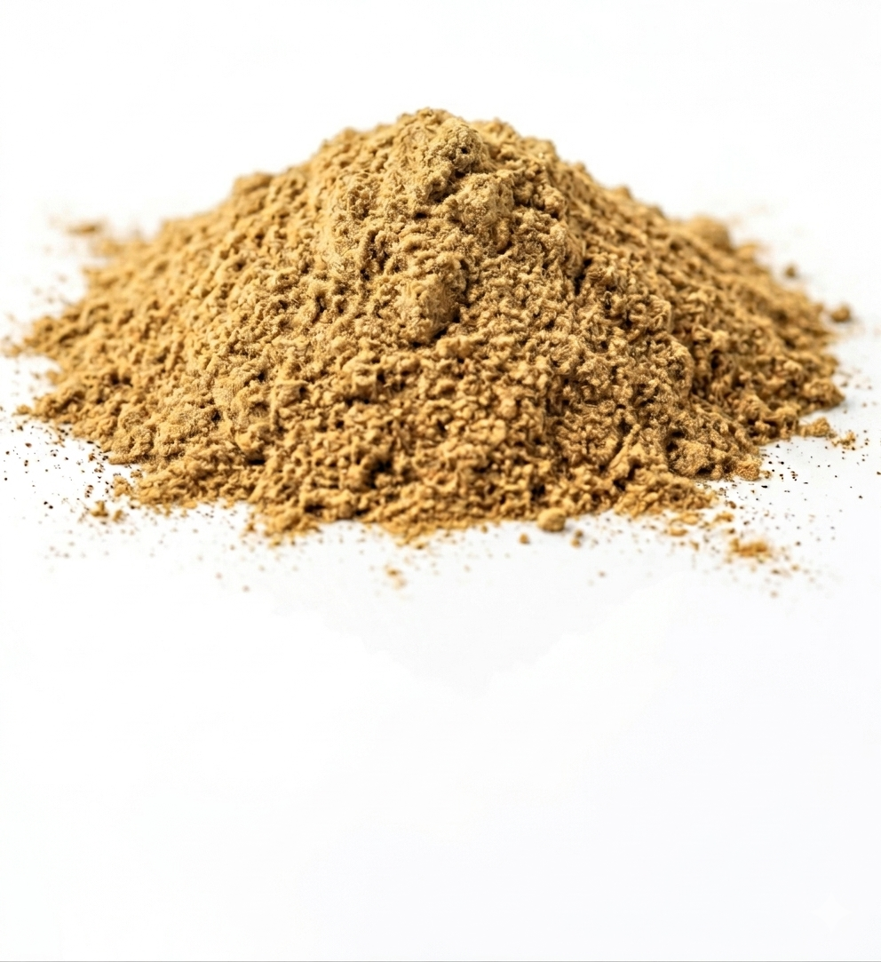 Coriander Powder