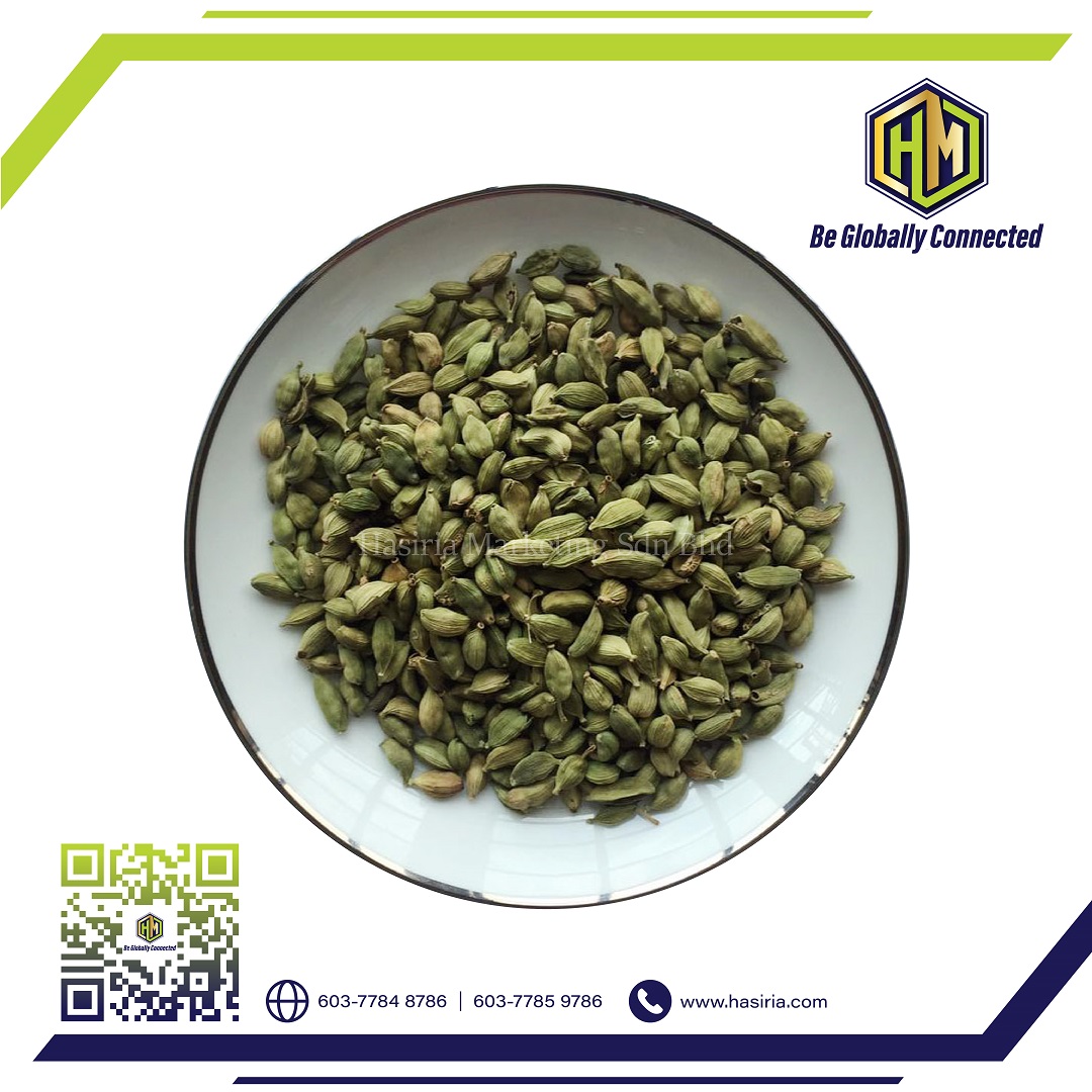 Fennel Seeds