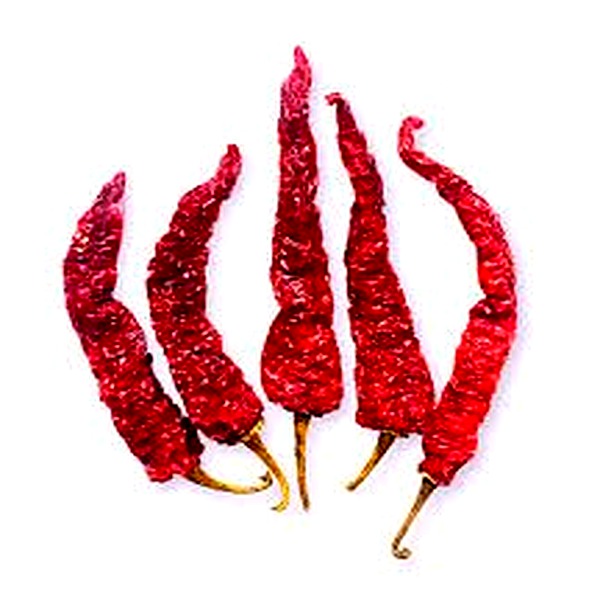 Chili Byadgi