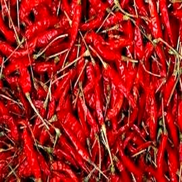 Chili Sannam