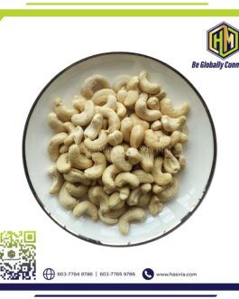 Cashew Nut