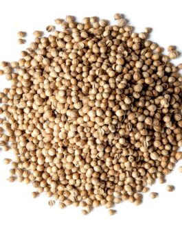 Coriander Seeds