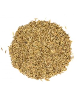 Cumin Seeds
