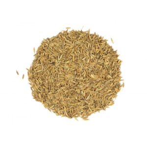 Cumin Seeds